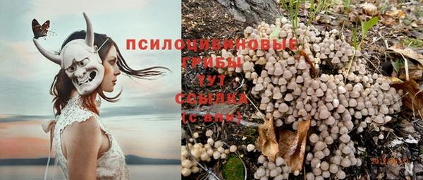 винт Балахна