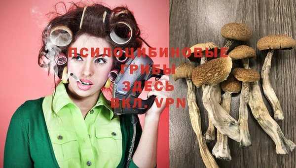 винт Балахна
